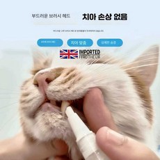 DDGG영국산 반려동물 칫솔펜 치약고양이와 양치질 결석 제거 구취, 1개, 칫솔펜+미백펜