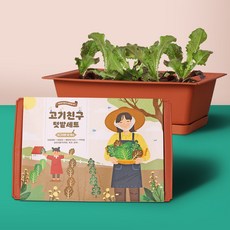 꿈쟁이 대형 고기친구 텃밭세트 키우기 상추 적겨자 쑥갓 1세트, 단품