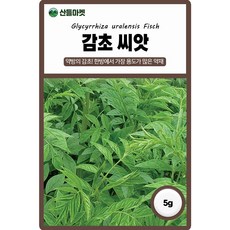 다농 감초 씨앗 5g, 감초씨앗 5g, 1개