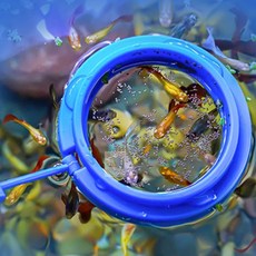 소레빈 물고기 수조 밥그릇 먹이통