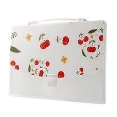 베스트 도큐먼트 파일백 3p세트(13칸) (체리), 상세페이지 참조