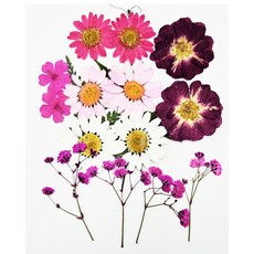 압화 압화종합팩 핑크 정원 솔체압화 레진공예