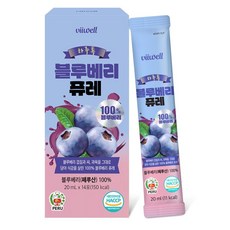 블루베리퓨레 페루산 블루베리 100% 짜먹는 퓨레 스틱, 1개, 280ml