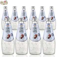 예이니식품 미스터초이스 코코넛 워터 (290ml) 유튜브주스음료수과일, 290ml, 10개