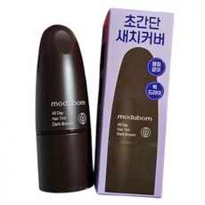 모두봄 올데이 헤어틴트 새치커버스틱 헤어마스카라 흰머리커버 7g, 1
