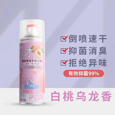 GINBI 吟美 鞋襪除臭噴霧 銀離子噴霧 去味除臭 球鞋防臭 鞋櫃除異味 去腳臭 持久留香 小巧便利 庫柏萌選, 1個, 吟美鞋襪除臭劑265ml