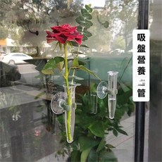 吸盤營養花管 透明塑膠花瓶, 1個, 透明塑膠-圓形