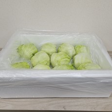 (홍열팜) 양상추 샐러드용 3kg 고냉지 채소 연중공급 상추셀러드 (스티로폼박스), 1박스