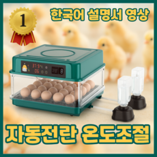 에그텍 병아리 부화기 계란 달걀 알 자동, 1개, 15세트