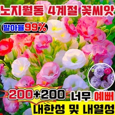 노지 월동 다년생 꽃 씨앗 노지월동 봄꽃씨앗 봄꽃 씨앗 4계절 꽃 씨앗 키작은 꽃 씨앗 봄꽃 씨앗모듬 봄에 피는 꽃 씨앗 관상용 향기좋은 꽃, 400개