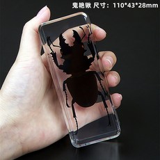 곤충 표본 꿀벌 꽃게 표본 사마귀 풍뎅이 개미, 5 블랙 스콜피온