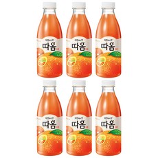 빙그레 따옴 자몽 730ml 6개