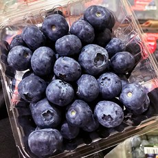 항공직송 칠레 미국 생블루베리, 1박스, 블루베리 18mm 8팩 (팩당 125g)