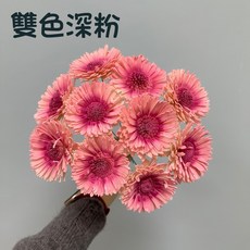 花藝夢 向日葵索拉 8公分 5支 高品質索拉 擴香花 乾燥花 永生花 不凋花 畢業花束 向日葵 大朵向日葵, 雙色深粉, 雙色深粉