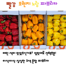 [임가네농산] 파프리카 혼합파프리카 빨강 노랑 오렌지 파프리카 국내산 파프리카, 1개, 1kg(오렌지)