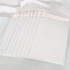 살림냥냥 에어캡 안전봉투 대 10p 포장뽁뽁이봉투