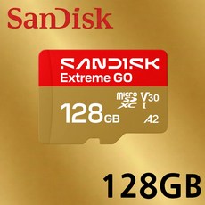 샌디스크 마이크로SD 익스트림 GO SQXGN, 1개, 128GB
