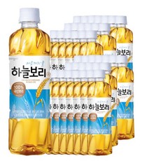 [웅진식품] 하늘보리 500ml * 20페트 * 2박스, 상세 설명 참조