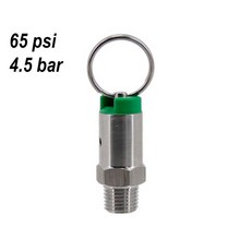 남성 NPT 스테인레스 스틸 304 자작 케깅 부품이있는 압력 릴리프 밸브 PRV DIY, 65 psi