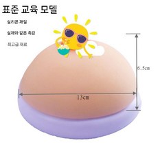 실리콘 유방모형 모유 모양 트럼펫 실습용 교구 연습 유방 모유수유 교육용, 1. 미디엄