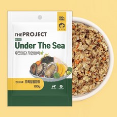 펫러닝 강아지 더프로젝트 PLAN2 언더더씨 후코이단 자연화식, 초록잎홍합맛, 100g, 1개