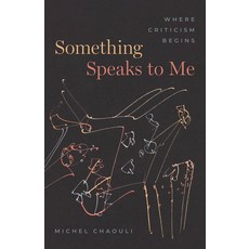 (영문도서) Something Speaks to Me: Where Criticism Begins Paperback, University of Chicago Press, English, 9780226830421