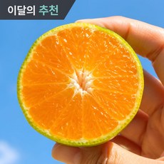 [제주직송] 초고당도 귤담원 하우스 제주감귤, 1박스, 2kg