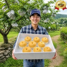 [판매량1위] 산지직송 고당도 나주 신고배, 1박스, 5kg 중과
