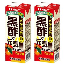 멜로디안 흑초로 건강 사과맛, 200ml, 2개