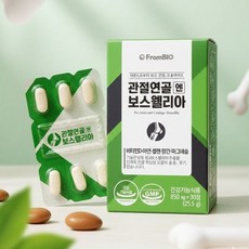 프롬바이오 프롬바이오 관절연골 엔 보스웰리아 850mg x 30정, 1개