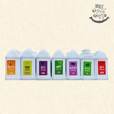 선인 레진 6종 메론 포도 녹차 블루베리 청사과 딸기 옥수수 1kg 시럽, 블루베리 레진 1kg