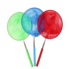 해자몰 잠자리채 채집, 블루