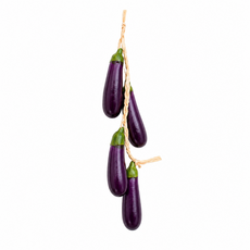 장식용 과일 야채 꼬치, 가지