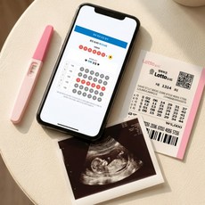 QR 임밍아웃 복권 2세대 로또 출시 6종 남편 부모님 임밍 임신 카드 서프라이즈, 1개, 4.이모ver
