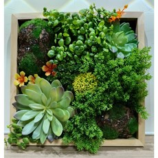 仿真牆面植物掛飾(F) 30x30cm 全新壁掛裝飾 綠植牆面裝飾, 綠色