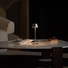 MNLT 로마 무드등, 실버