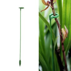 오링 식물 지지대 58cm, 20개