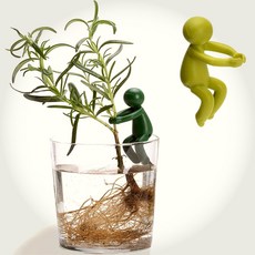 한스밀 유리병식물거치 수경화분부속품