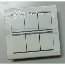 Panasonic 國際牌 星光系列 WTDFP5652K 開關 6孔 附蓋板, 1個