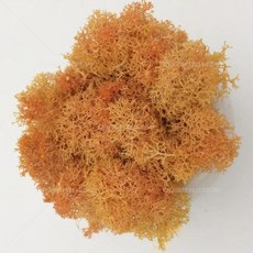 인공 녹색 식물 영원한 생명 DIY 잔디 홈 룸 미니 가짜 50g, 19)10g, orange