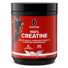 SIXSTAR 一水肌酸補充粉 無調味, 1個, 300g