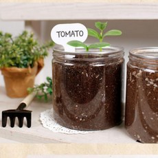 훔플랜트 딸기 방울토마토 고수 루꼴라 봉선화 파슬리 미니 화분 식물 키우기 씨앗 재료 키트, 02딸기