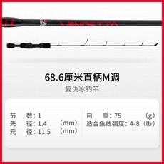 阿布便攜短節碳素冰釣竿套裝休閒垂釣全套筏竿冬釣船閥迷你海竿, ICE 27英寸  M復仇冰釣竿
