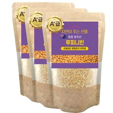 에코홀릭 루피니빈 호주산 루피니빈콩 루핀콩, 3개, 1kg