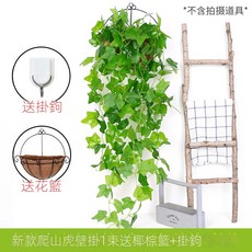 仿真綠蘿客廳掛墻綠植 壁掛植物裝飾 垂吊假花藤 條室內藤蔓吊蘭吊籃, 新款爬山虎吊蘭1束(送椰棕籃), 1個