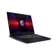 MSI 2024 스워드 17 HX 코어i7 인텔 14세대 지포스 RTX 4060, 그레이블랙, 512GB, 16GB, WIN11 Home, B14VFKG QHD (056)