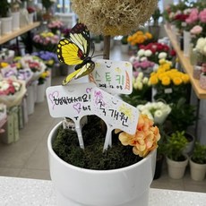 불꽃마켓 타이형 화분픽 식물이름표 화이트 10개입 나무이름표 나무명찰
