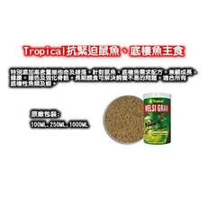 Tropical WELSI GRAN 抗緊迫鼠魚底棲魚主食, 1個
