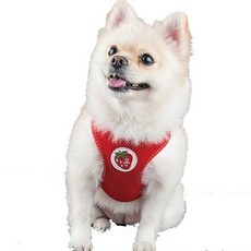 강아지 매쉬 하네스 레드 1p 강아지 하네스 가슴줄 산, W06BF4A_S／FREE