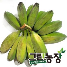 그린 사바 바나나(green saba banana) 그린농장, 1박스, 1kg